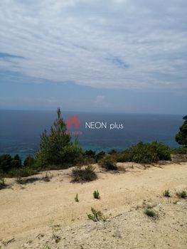 Αγροτεμάχια 11.875τ.μ. για πώληση-Κασσάνδρα » Ελάνη
