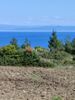 Parcel 5.300sqm for sale-Pallini » Polichrono