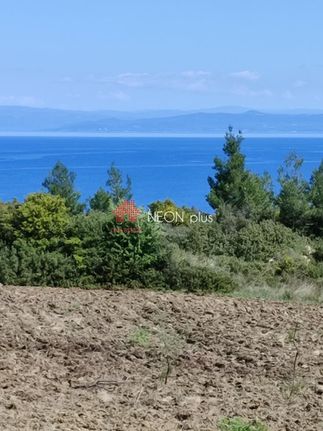 Parcel 5.300 sqm for sale, Chalkidiki, Pallini