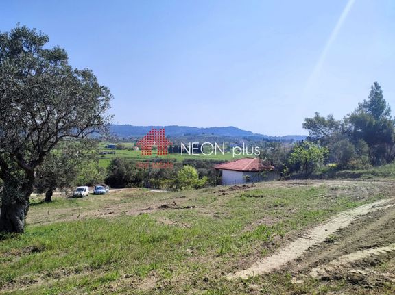 Αγροτεμάχια 5.900 τ.μ. για πώληση, Χαλκιδική, Κασσάνδρα