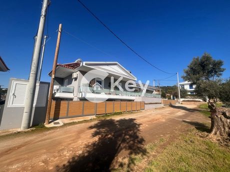 Διαμέρισμα 225τ.μ. για πώληση-Μαρκόπουλο » Πόρτο ράφτη