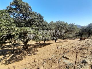 Αγροτεμάχια 5.561 τ.μ. για πώληση, Κυκλάδες, Κέα-thumb-6