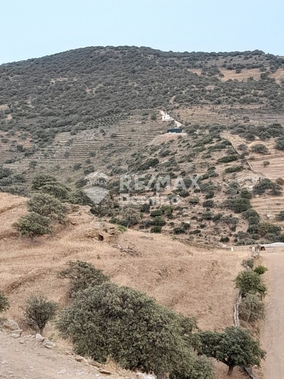 Αγροτεμάχια 5.561 τ.μ. πρός πώληση, Κυκλάδες, Κέα