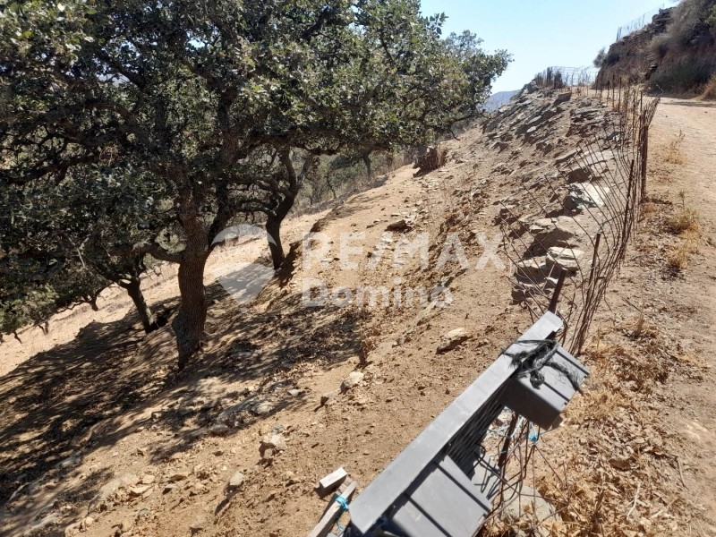 Αγροτεμάχια 5.561 τ.μ. πρός πώληση, Κυκλάδες, Κέα