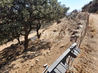 Αγροτεμάχια 5.561 τ.μ. για πώληση, Κυκλάδες, Κέα-thumb-2