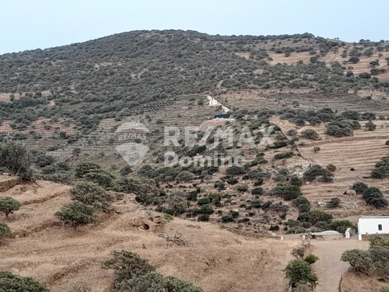 Αγροτεμάχια 5.561 τ.μ. πρός πώληση, Κυκλάδες, Κέα