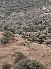 Αγροτεμάχια 5.561 τ.μ. για πώληση, Κυκλάδες, Κέα-thumb-12