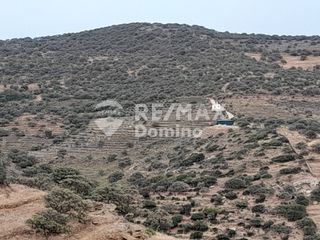 Αγροτεμάχια 5.561 τ.μ. για πώληση, Κυκλάδες, Κέα-thumb-7