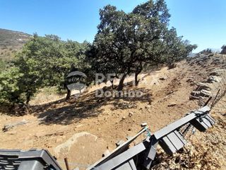 Αγροτεμάχια 5.561 τ.μ. για πώληση, Κυκλάδες, Κέα-thumb-10