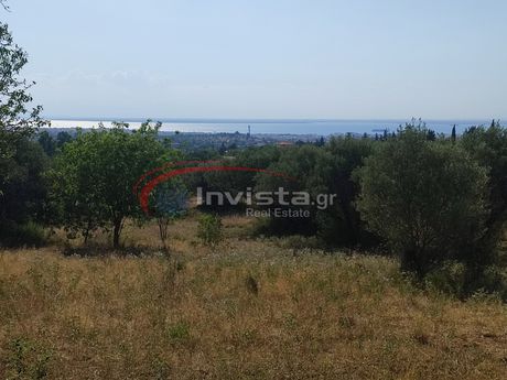Αγροτεμάχια 5.239τ.μ. για πώληση-Πυλαία » Πουρνάρι