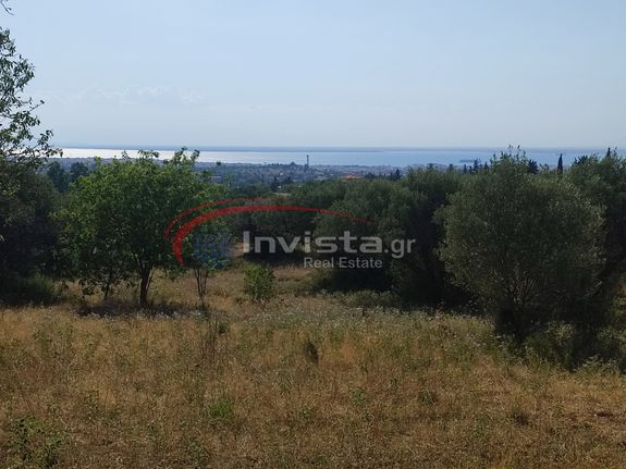 Αγροτεμάχια 5.239 τ.μ. για πώληση, Θεσσαλονίκη - Περιφ/Κοί Δήμοι, Πυλαία