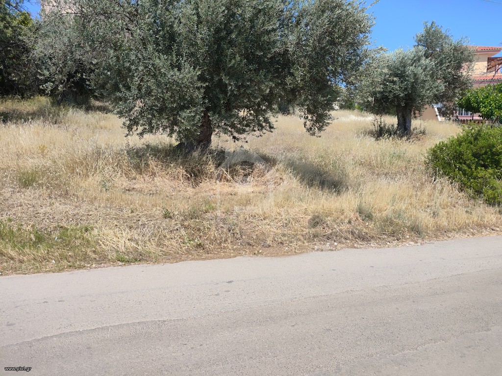 Οικόπεδο 1.830 τ.μ. προς πώληση, Πολιτικά