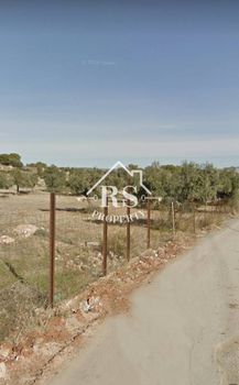 Οικόπεδο 4.800τ.μ. για ενοικίαση-Μάνδρα » Διόδια
