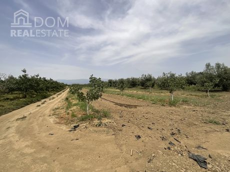 Αγροτεμάχια 8.421 τ.μ. για πώληση