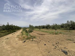 Αγροτεμάχια 8.421 τ.μ. για πώληση
