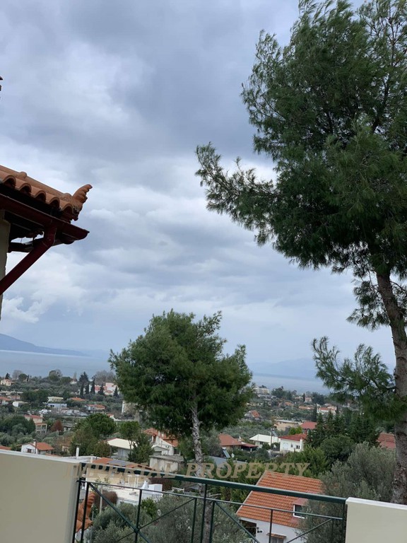 Μονοκατοικία 291 τ.μ. πρός πώληση, Αττική - Υπόλοιπο, Ωρωπός