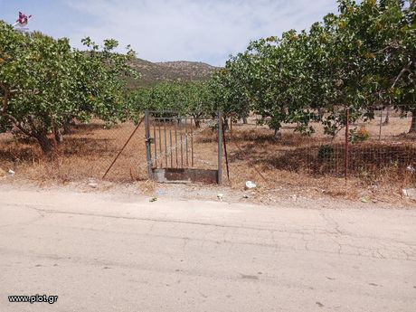 Land plot 450sqm for sale-Kalivia Thorikou » Lagonisi