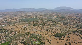 Αγροτεμάχια 22.256 τ.μ. για πώληση, Αργολίδα, Κρανίδι-thumb-6