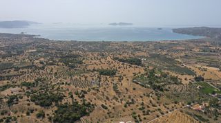 Αγροτεμάχια 22.256 τ.μ. για πώληση, Αργολίδα, Κρανίδι-thumb-11