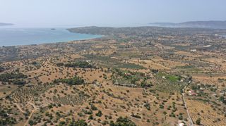 Αγροτεμάχια 22.256 τ.μ. για πώληση, Αργολίδα, Κρανίδι-thumb-7