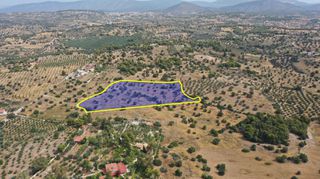 Αγροτεμάχια 22.256 τ.μ. για πώληση, Αργολίδα, Κρανίδι-thumb-1