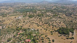 Αγροτεμάχια 22.256 τ.μ. για πώληση, Αργολίδα, Κρανίδι-thumb-8