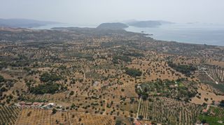Αγροτεμάχια 22.256 τ.μ. για πώληση, Αργολίδα, Κρανίδι-thumb-15