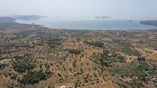 Αγροτεμάχια 22.256 τ.μ. για πώληση