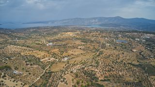 Αγροτεμάχια 47.436 τ.μ. για πώληση