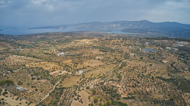 Αγροτεμάχια 47.436 τ.μ. για πώληση, Αργολίδα, Κρανίδι