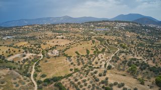 Αγροτεμάχια 47.436 τ.μ. για πώληση, Αργολίδα, Κρανίδι-thumb-13