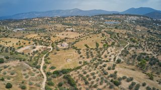Αγροτεμάχια 47.436 τ.μ. για πώληση, Αργολίδα, Κρανίδι-thumb-7