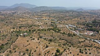 Αγροτεμάχια 38.754 τ.μ. για πώληση, Αργολίδα, Κρανίδι-thumb-7
