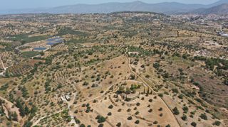 Αγροτεμάχια 38.754 τ.μ. για πώληση