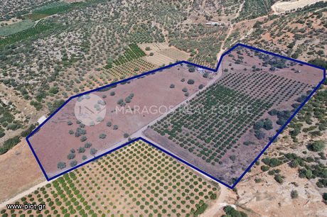 Αγροτεμάχια 35.000τ.μ. για πώληση-Κουτσοπόδι