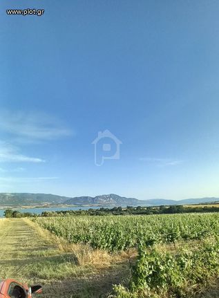 Αγροτεμάχια 8.652 τ.μ. για πώληση, Ν. Κοζάνης, Σέρβια