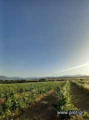 Αγροτεμάχια 8.652 τ.μ. για πώληση, Ν. Κοζάνης, Σέρβια-thumb-1