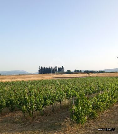 Αγροτεμάχια 6.300 τ.μ. για πώληση, Ν. Κοζάνης, Σέρβια