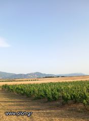 Αγροτεμάχια 6.300 τ.μ. για πώληση, Ν. Κοζάνης, Σέρβια-thumb-1