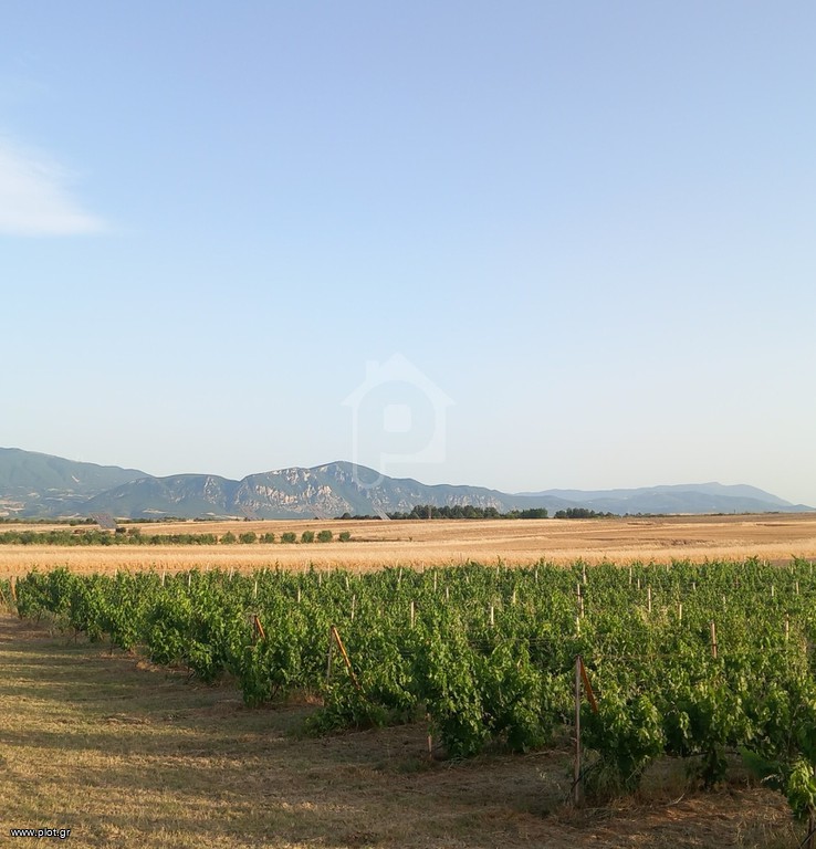 Αγροτεμάχια 6.300 τ.μ. πρός πώληση, Ν. Κοζάνης, Σέρβια