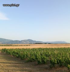 Αγροτεμάχια 6.300 τ.μ. για πώληση, Ν. Κοζάνης, Σέρβια-thumb-3