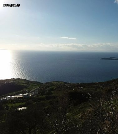Οικόπεδο 4.600 τ.μ. για πώληση, Κυκλάδες, Άνδρος