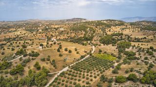 Αγροτεμάχια 12.696 τ.μ. για πώληση, Αργολίδα, Κρανίδι-thumb-5