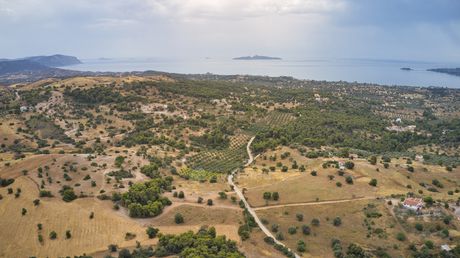 Parcel 12.696sqm for sale-Kranidi » Petrothalassa
