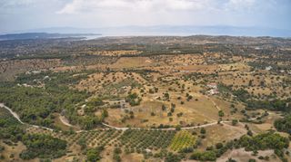 Αγροτεμάχια 12.696 τ.μ. για πώληση, Αργολίδα, Κρανίδι-thumb-16