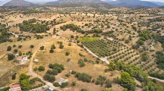 Αγροτεμάχια 12.696 τ.μ. για πώληση, Αργολίδα, Κρανίδι-thumb-7