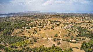 Αγροτεμάχια 12.696 τ.μ. για πώληση, Αργολίδα, Κρανίδι-thumb-17