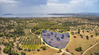 Αγροτεμάχια 12.696 τ.μ. για πώληση, Αργολίδα, Κρανίδι-thumb-1