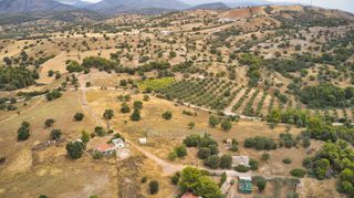 Αγροτεμάχια 12.696 τ.μ. για πώληση, Αργολίδα, Κρανίδι-thumb-11