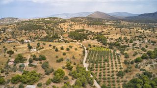 Αγροτεμάχια 12.696 τ.μ. για πώληση, Αργολίδα, Κρανίδι-thumb-12